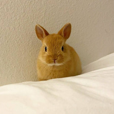 Michelle ‧͙⁺˚*･༓☾