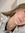 Jaclyn Ridgely