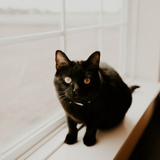 Chloe Manning-VonLehmden