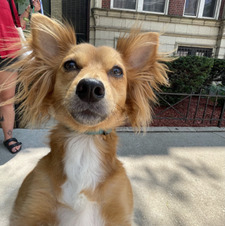 Alexandra Reifenberg