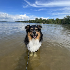 Michelle Christopher