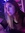 Shay