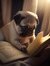 titus(r...
