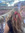 Brooke R