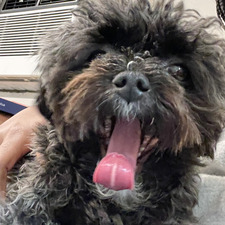 Olivia 🫥🫥🫥 Ouattara