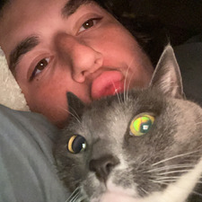 Ryan Troilo