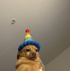 Suprret
