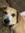member photo member photo