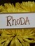 Rhoda