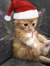 Catarin...