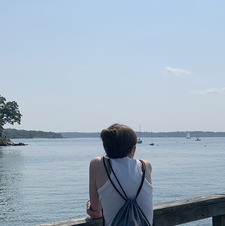 lily dianne &#x1fa75;