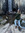 member photo member photo