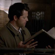 ⋆ ˚｡ scout ⋆୨୧˚