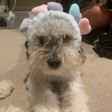 Hailey