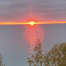 Mark The Slow Reader