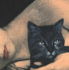 ˖  ࣪⊹&#x1065a; Mi