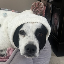 Michelle  Van Kleeff 