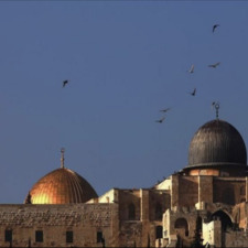 سارّة إبراهيم