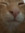Henry