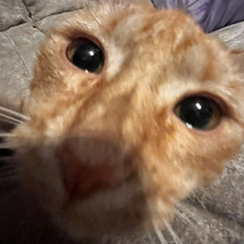 someone ontheinternet