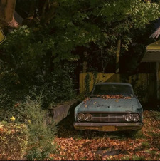 destinysbookshelf331