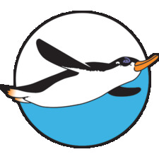 Soaring Penguin Press