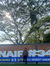 Wahyu