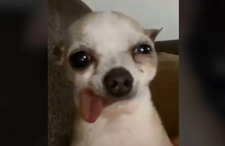 clau