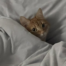 Celeste Carrasquilla