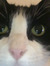 Elinor ...