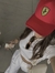 Alicia_cnl