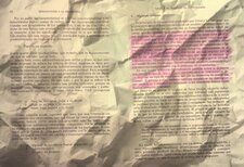 Francesca Crivella☔