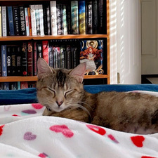 Penelope