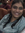 Amruta ...