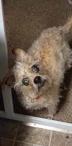 Christopher Gutierrez