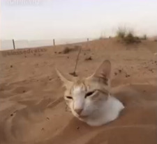 Very neat and refined