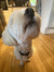 Wilma O...