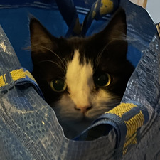 Tiina