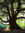 Kelly | 38 comments