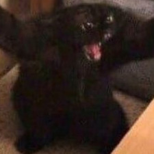 nyah