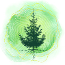 Evergreen Envisioning
