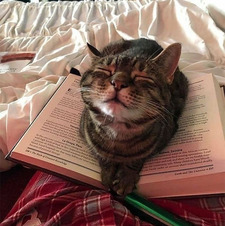 csenge‘s library ❥