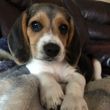 Angela