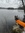 Ansku 