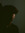 Ryan Lindell