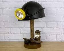 Thrift Store Book Miner