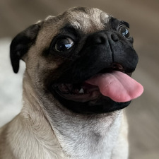 Michael DeWitt Bukater