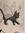 Tima 🕯️🧘🏻‍♀️🐈