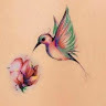 Hummingbird 