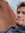 Sander